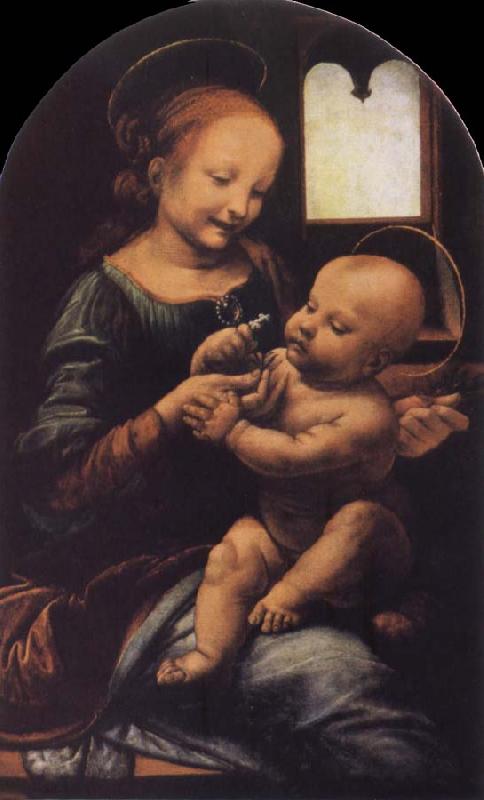 Leonardo  Da Vinci Madonna with a Flower oil painting image